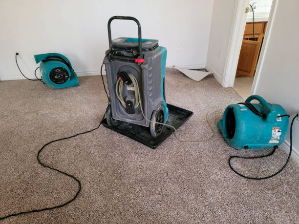 Best Professional water damage repair  in Koontz Lake, IN