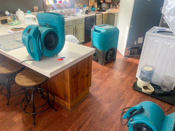 Best Mold removal after water damage  in Koontz Lake, IN