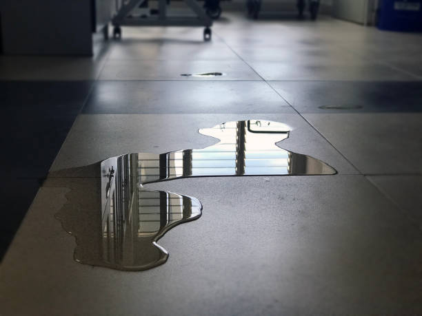 Best 24-hour water damage restoration  in Koontz Lake, IN