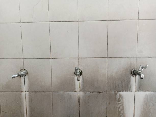 Best Water damage restoration near me  in Koontz Lake, IN