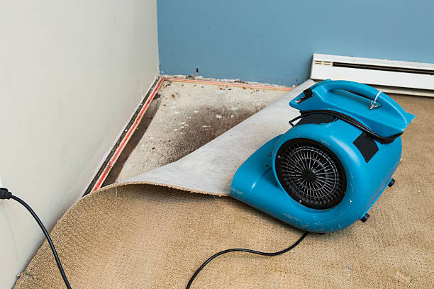 Best Local water damage restoration  in Koontz Lake, IN